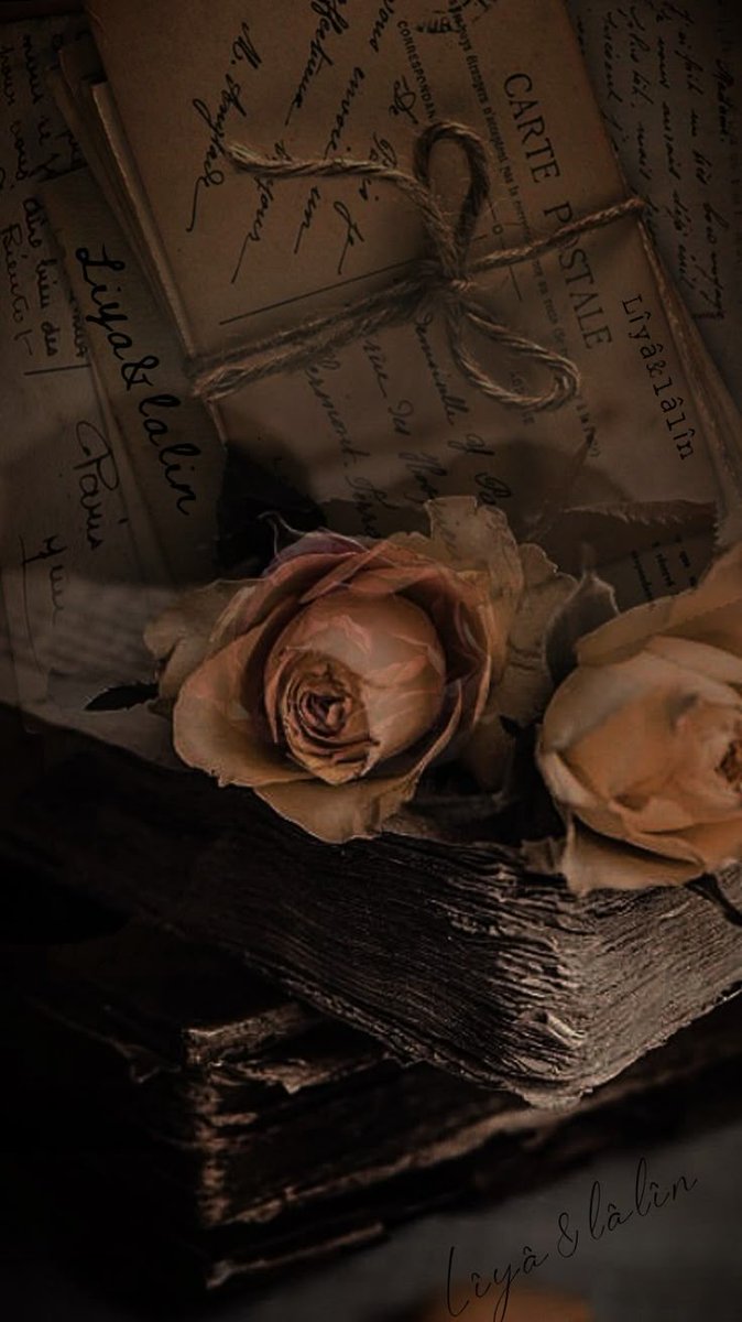 🇵🇰افنان tweet media