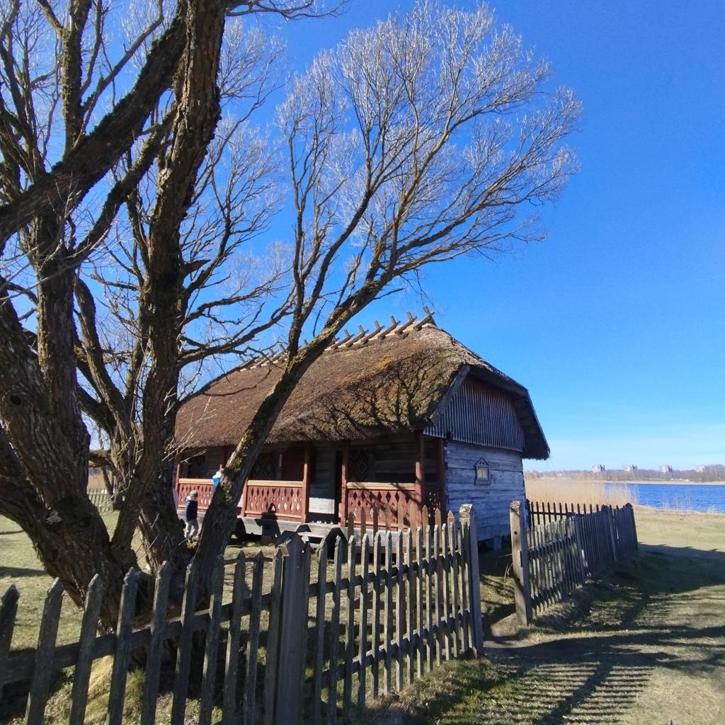 Jānis Zvērs tweet media