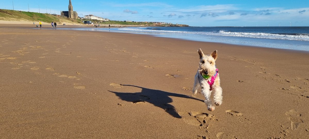 rmpk & Flora the Foxie 💚🇺🇦 tweet media