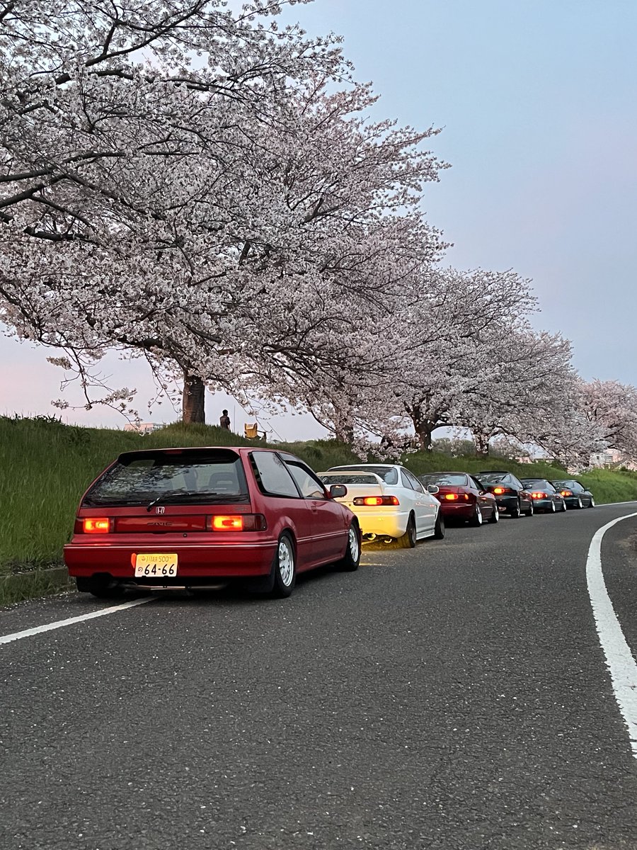 たろう (@taraw_db8) on Twitter photo 