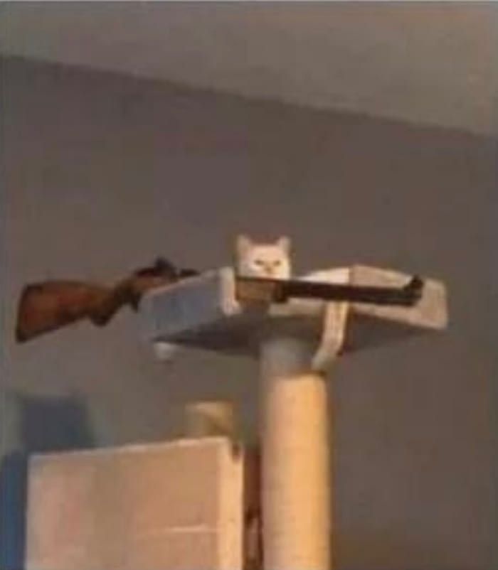 meme.jpg tweet media