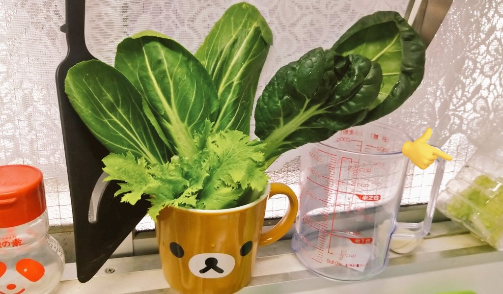 Drum雄大@HEXVOID tweet media