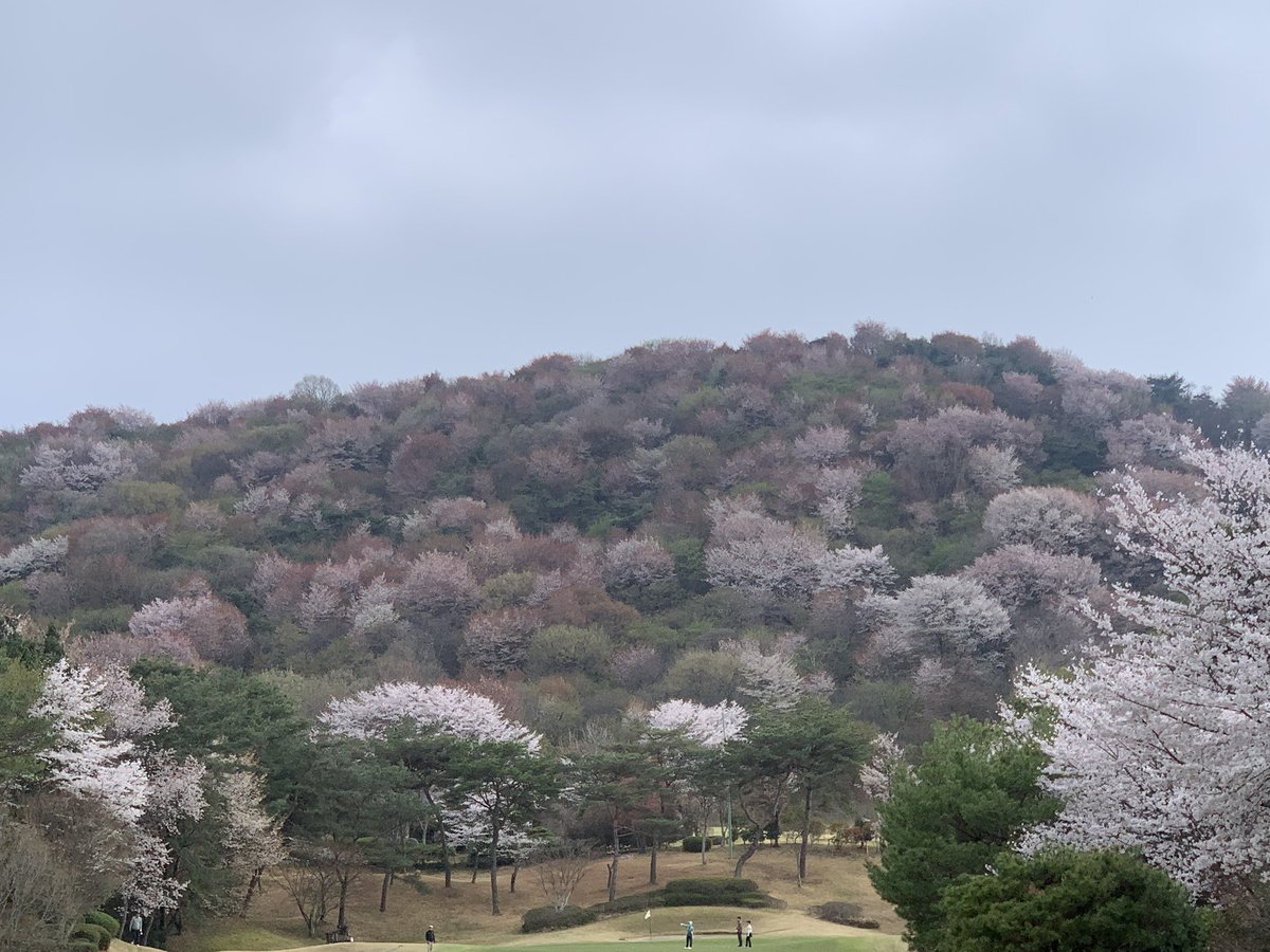 🐬🐋매운고래밥🐋🐬 tweet media