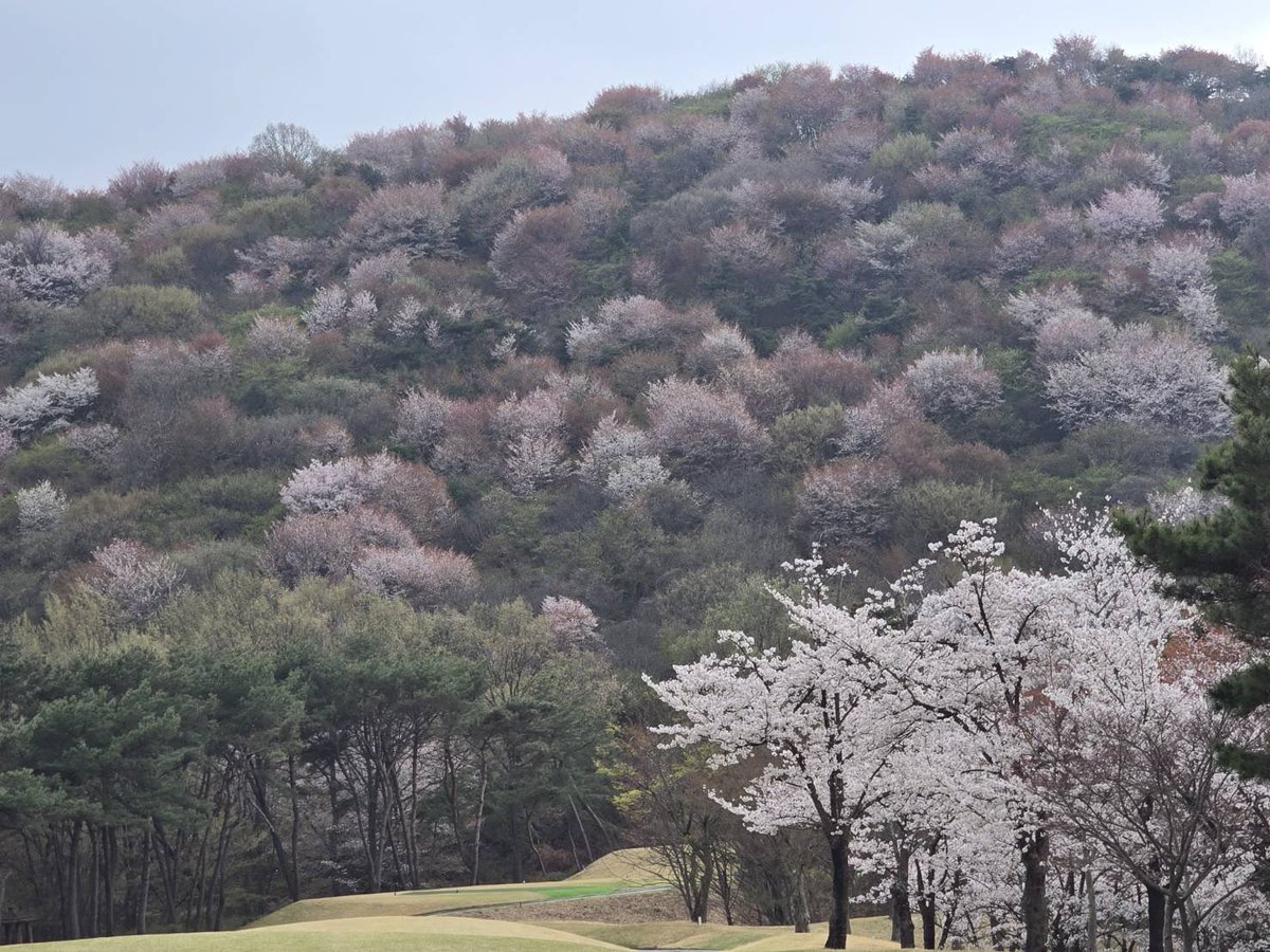 🐬🐋매운고래밥🐋🐬 tweet media