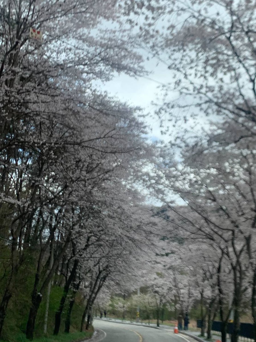 🐬🐋매운고래밥🐋🐬 tweet media