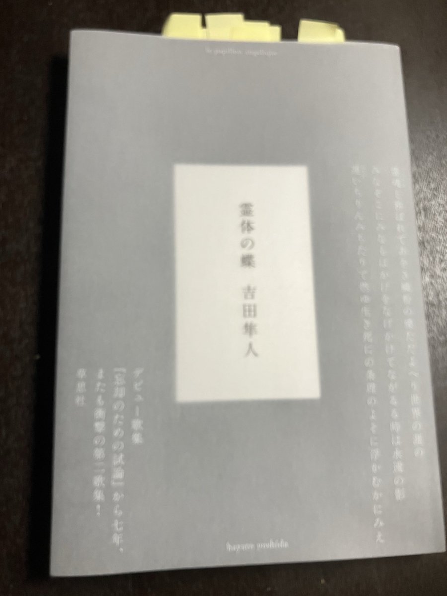 鷺沢朱理 tweet media