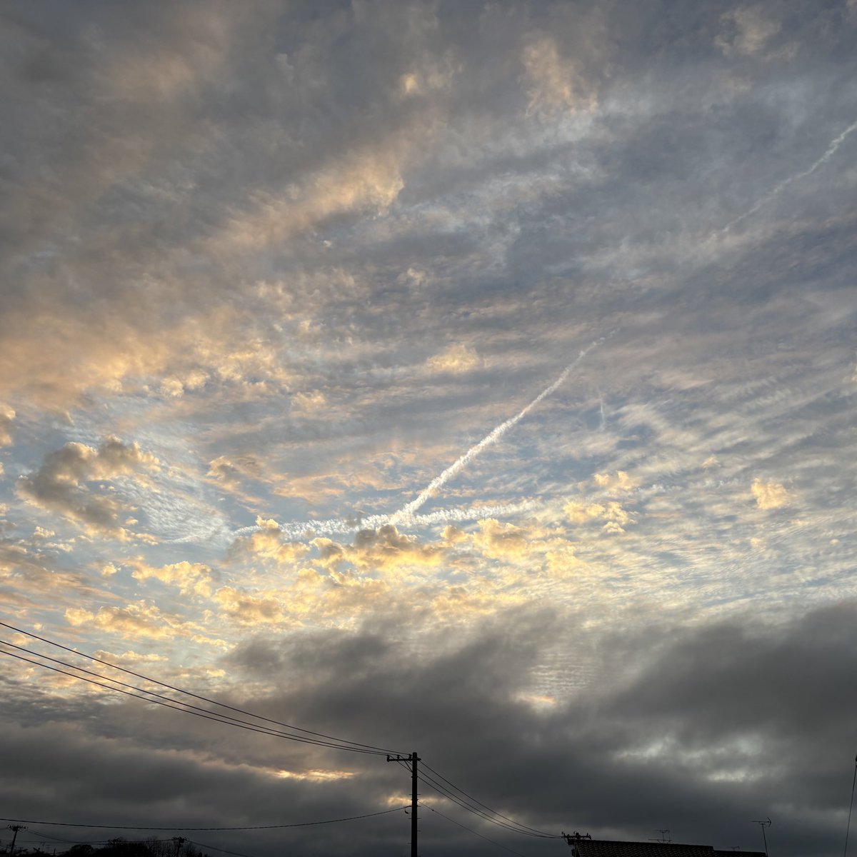 しゃーりー tweet media