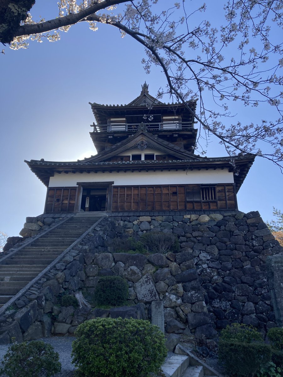 にせくん tweet media