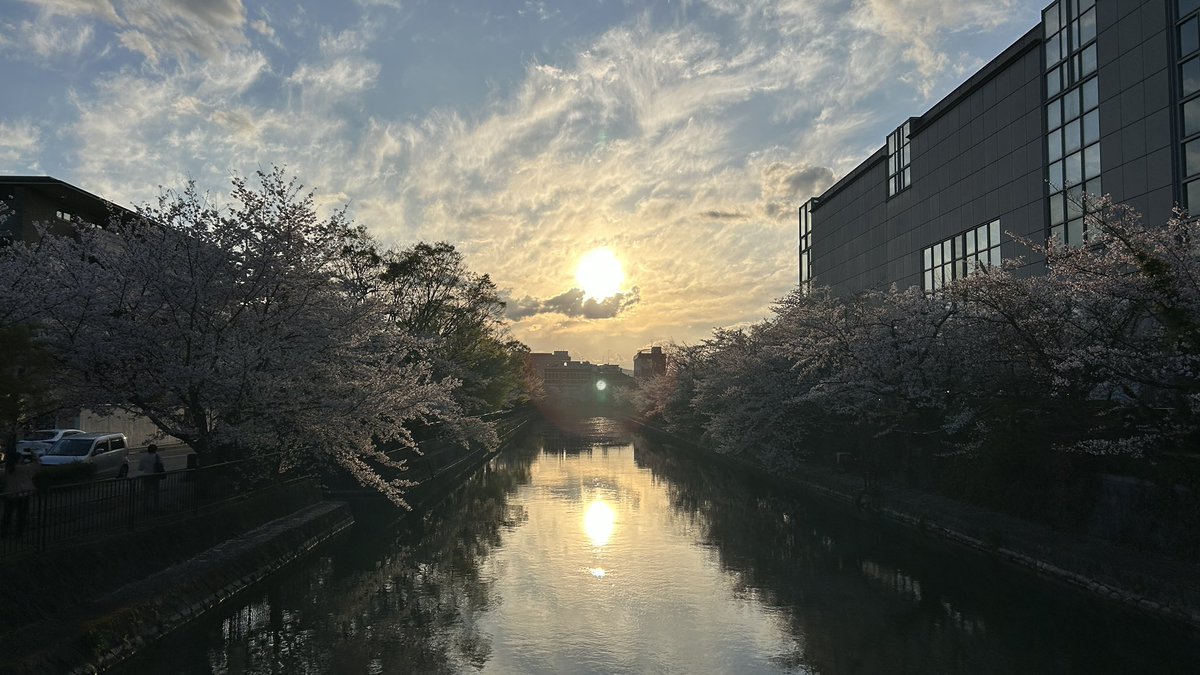 やぎこ tweet media