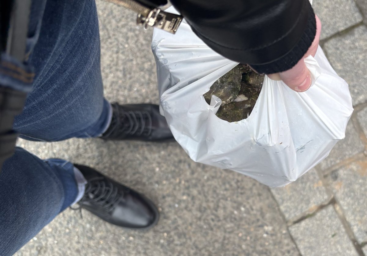 GaelleVanDerMaslow tweet media