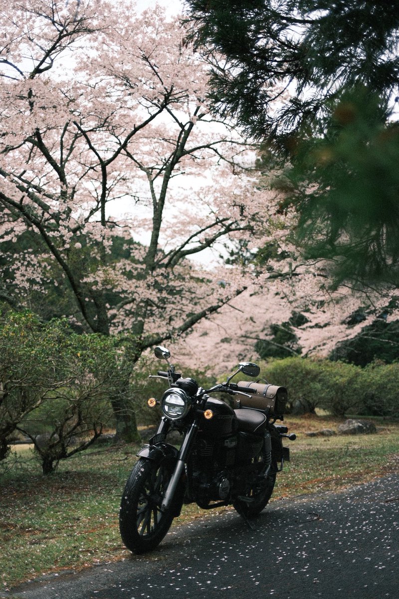 21Rider_'s tweet photo. 春の奥三河巡り
#しんしろ朝活
#GB350C https://t.co/yXaToXRhiQ