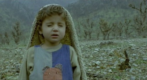 werhat's tweet photo. 🎞️Kûsî jî Dikarin Bifirin(Kaplumbağalar da Uçar, Bahman Ghobadi • 2004) https://t.co/6UjHjkobAP
