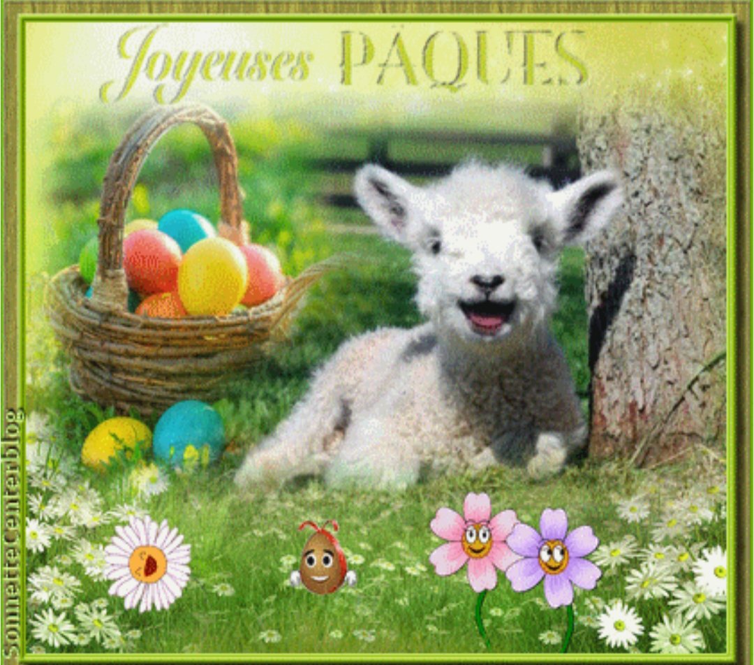 Didi D. 🌈 📚 🌳 🇺🇦 tweet media