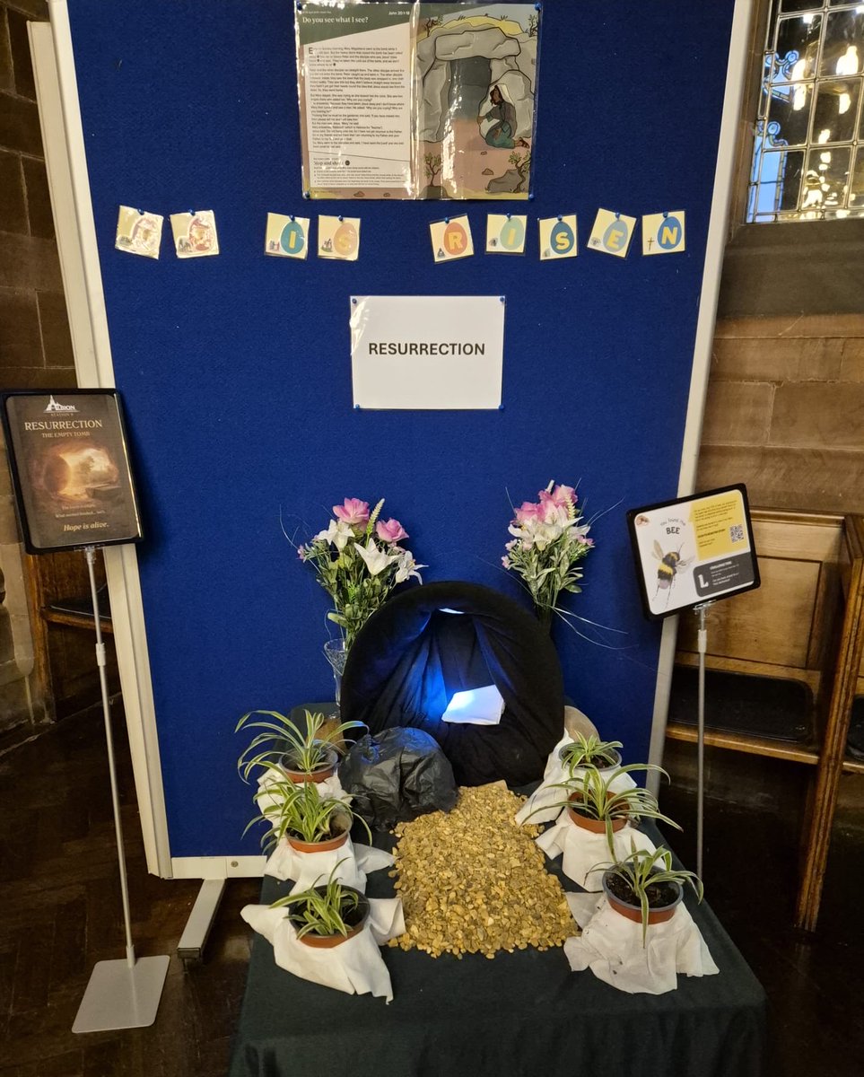 Albion URC tweet media