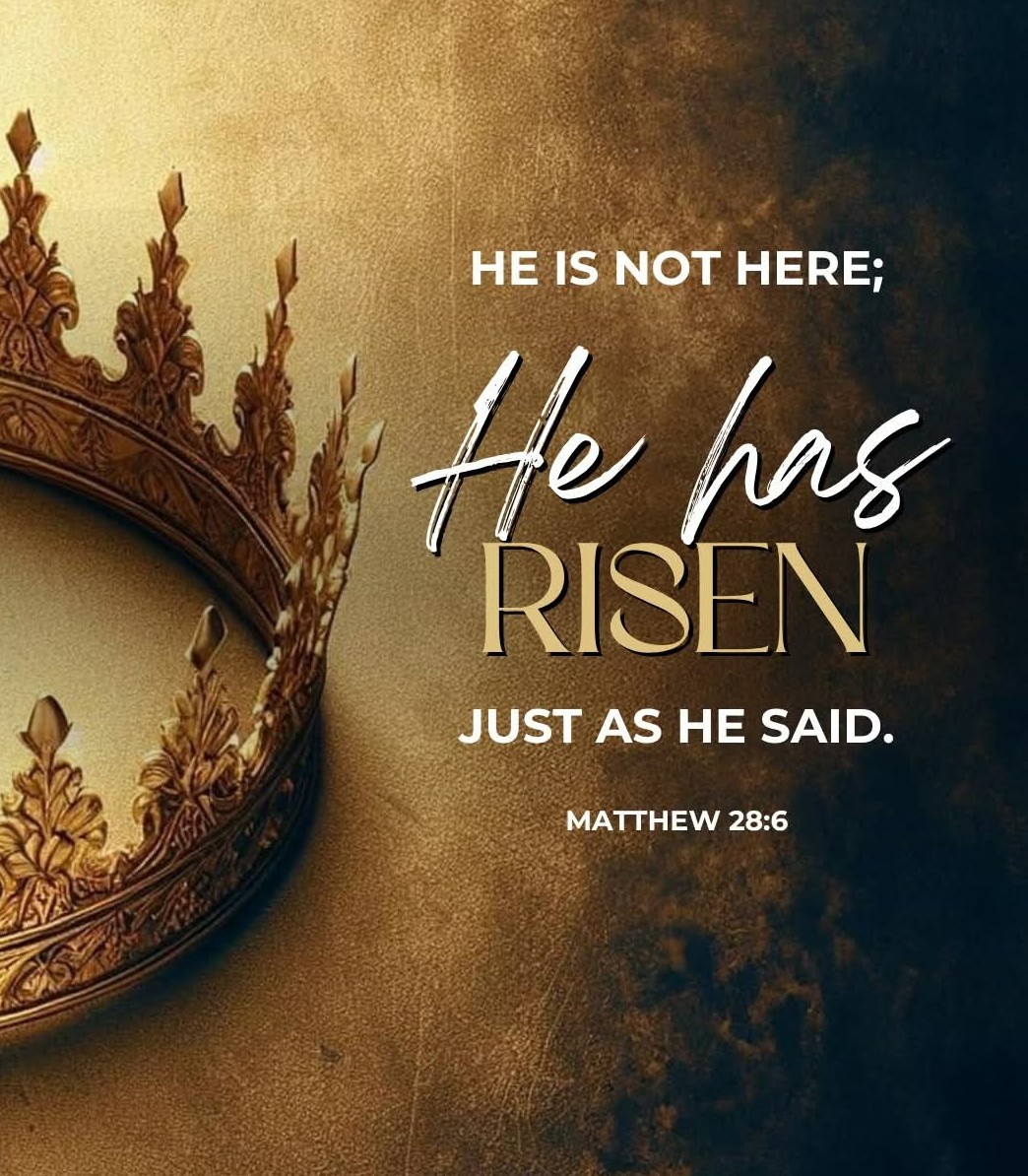 Islandgirl13 tweet media