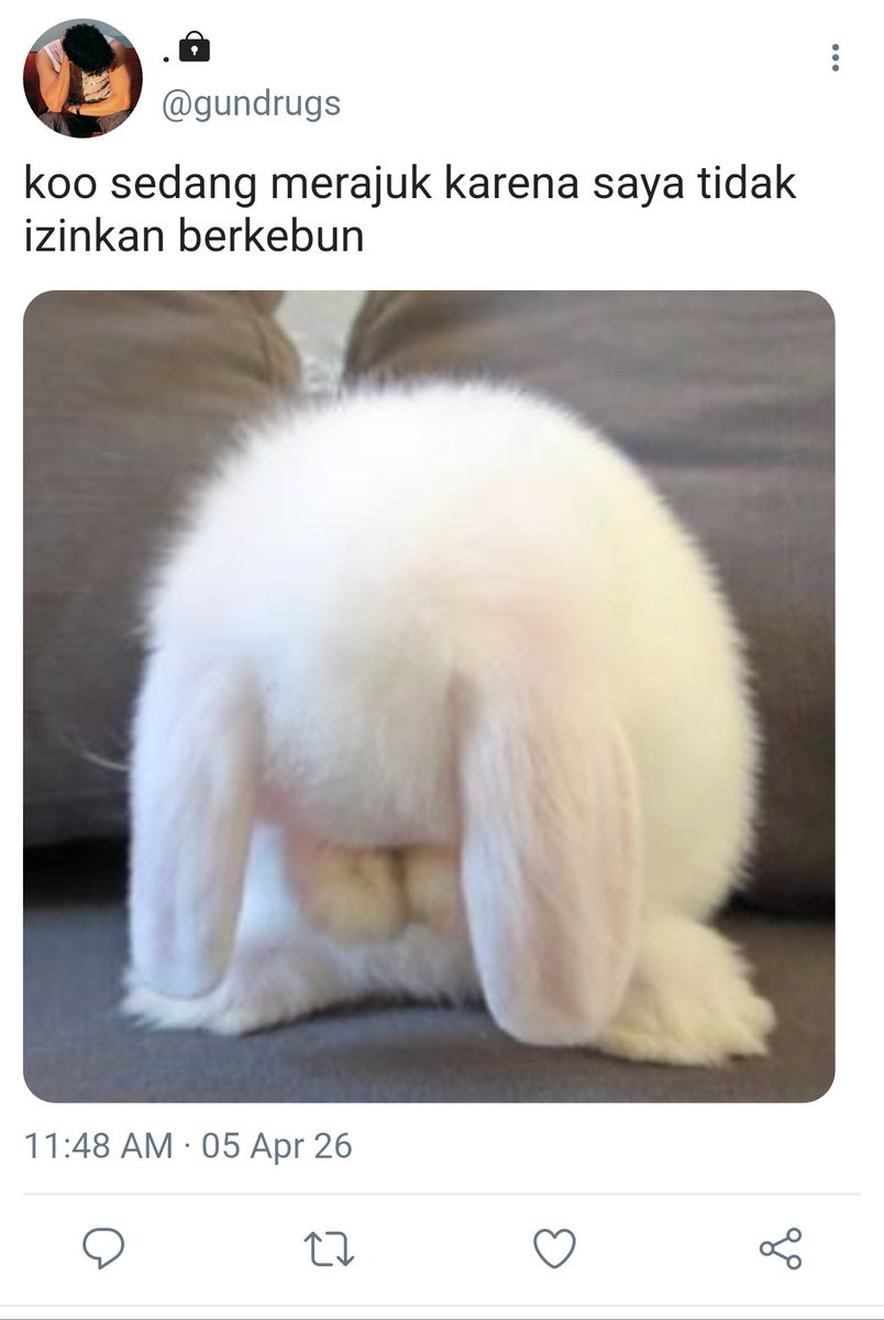 📍ELJIYO | KOSMATE 🏠 tweet media