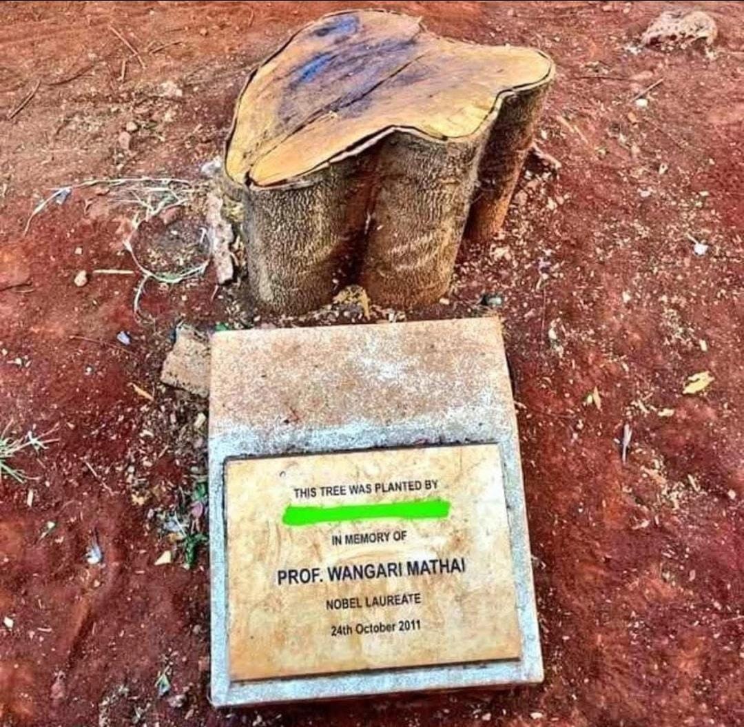 Afande Jaymo 🇰🇪 tweet media