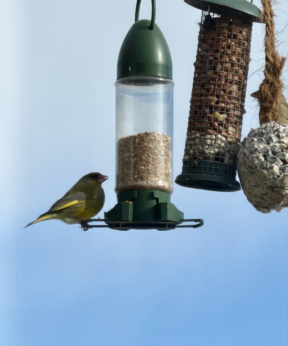 Debby Thorne tweet media