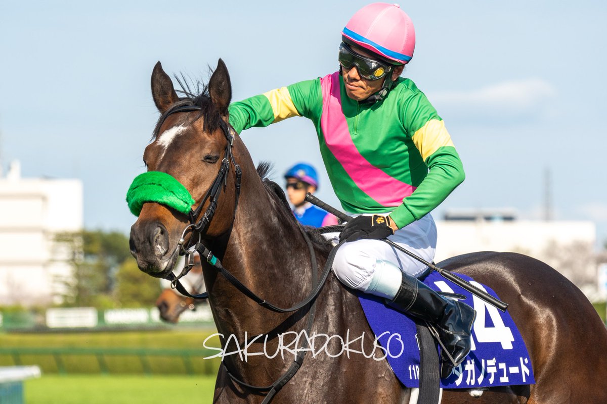 さくら独走 tweet media