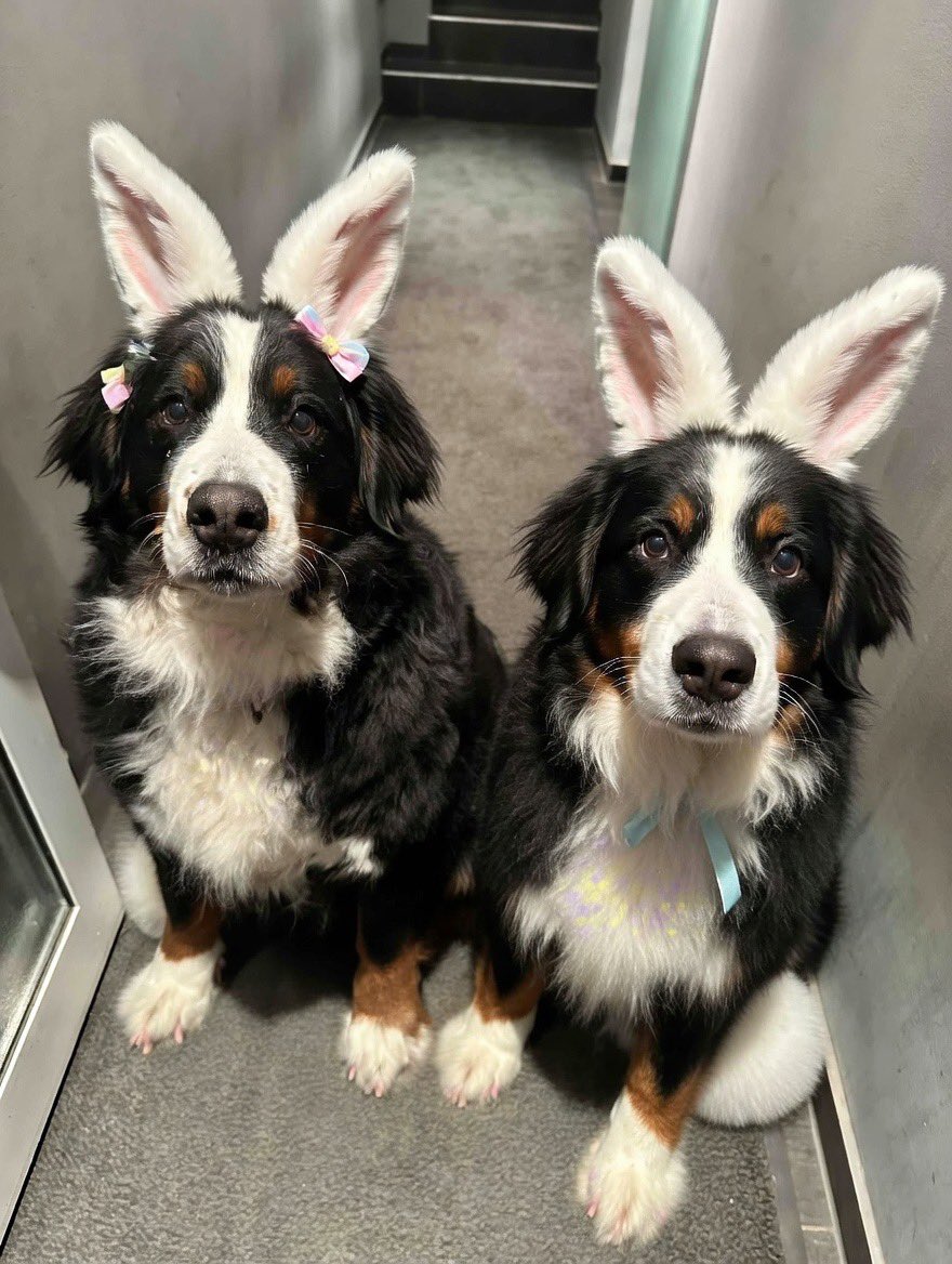 Pria im Herzen - Amy & Jeany bei mir tweet media