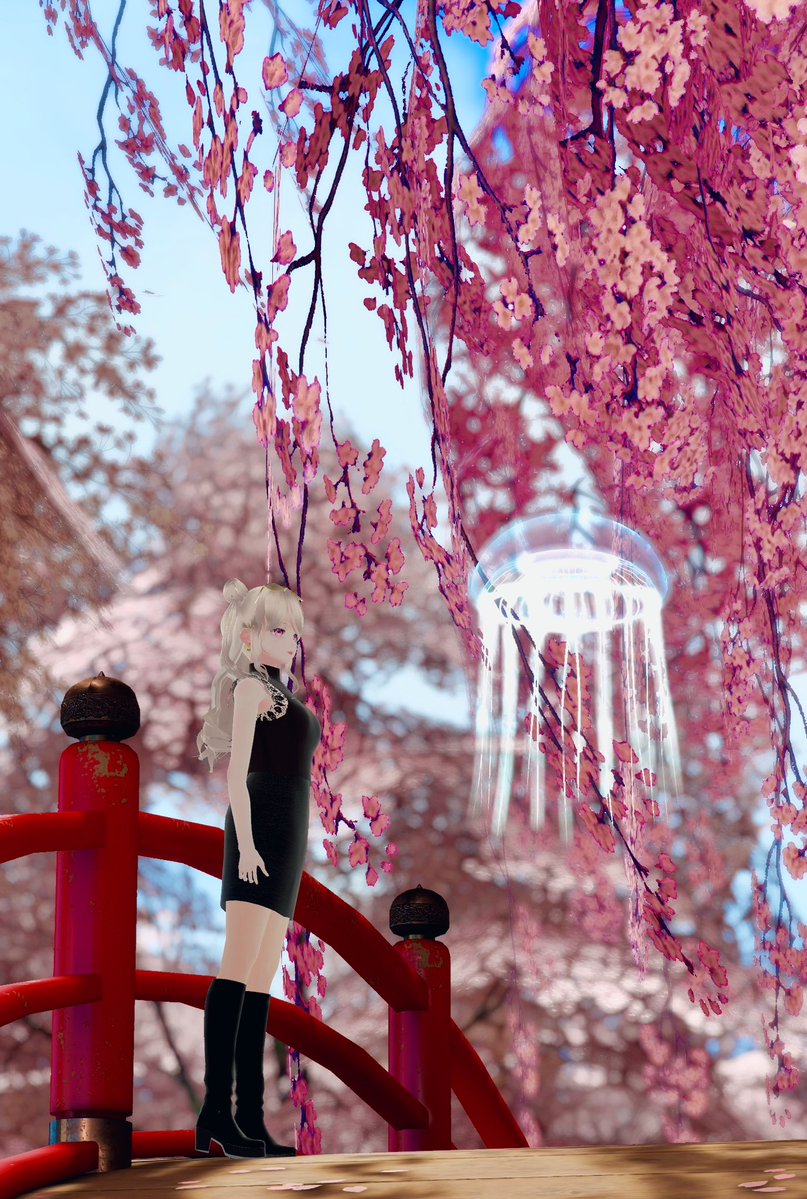 🐾JUNON/じゅのん tweet media