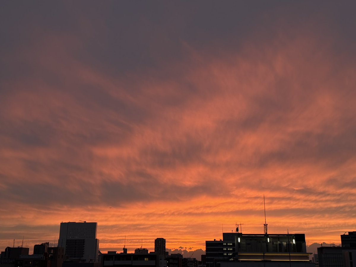 ひろ（星のソムリエ®） tweet media