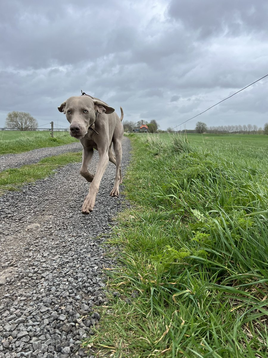 Sander Kerkhof tweet media