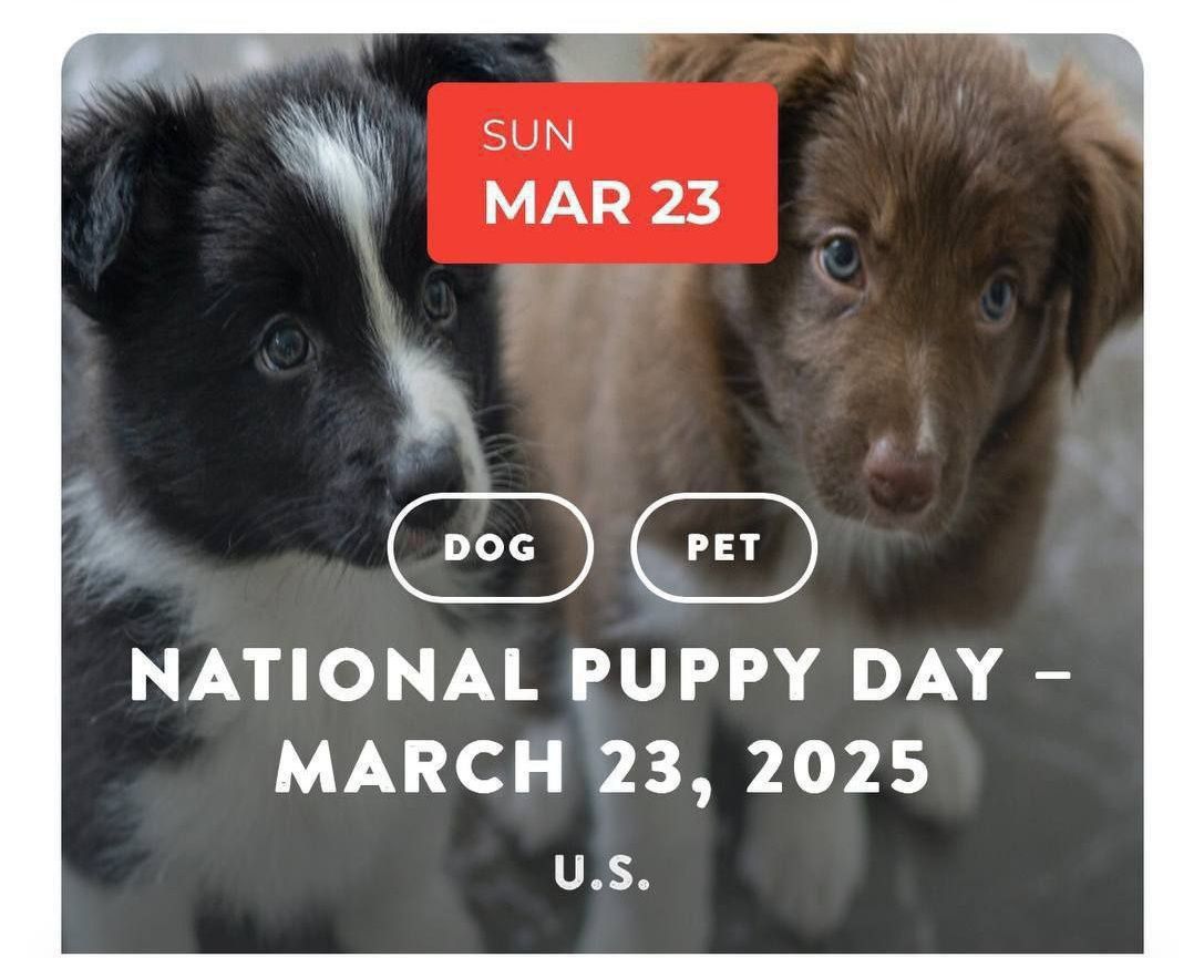 John Kahlooni Fans tweet media