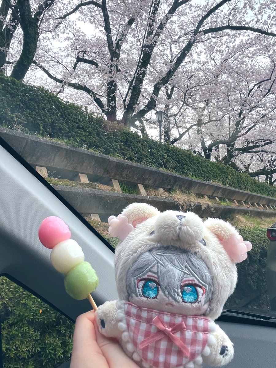 ココ@ぬいと生活 tweet media