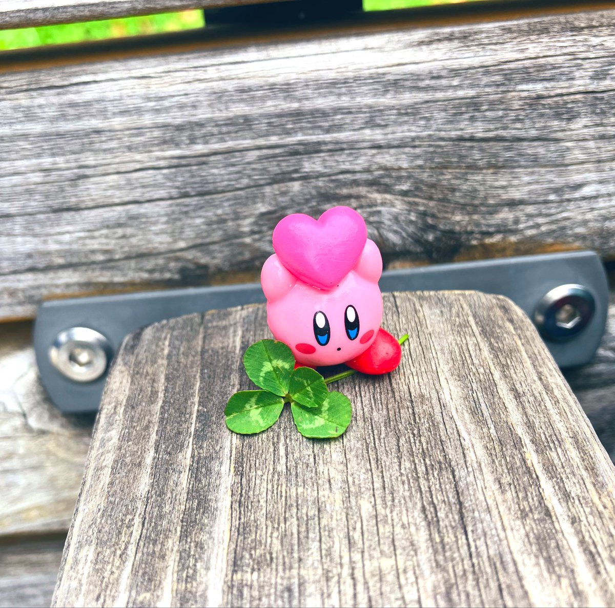 michi🌼いいかげん原稿やる🐝 tweet media