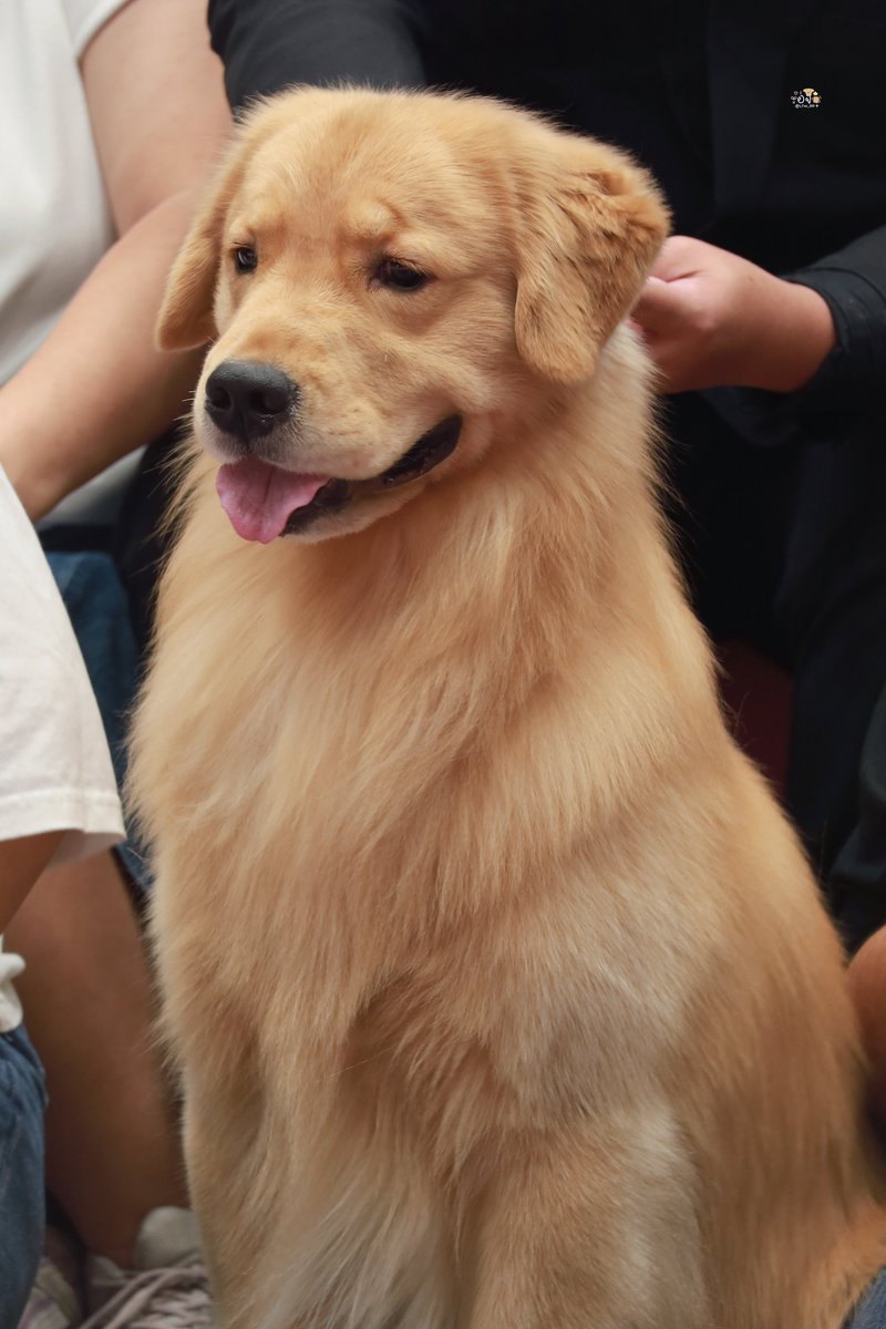 ⟡อจ ·͜·♡ tweet media