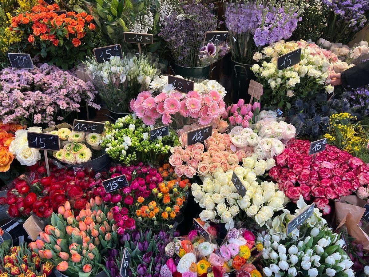 •☆• tweet media