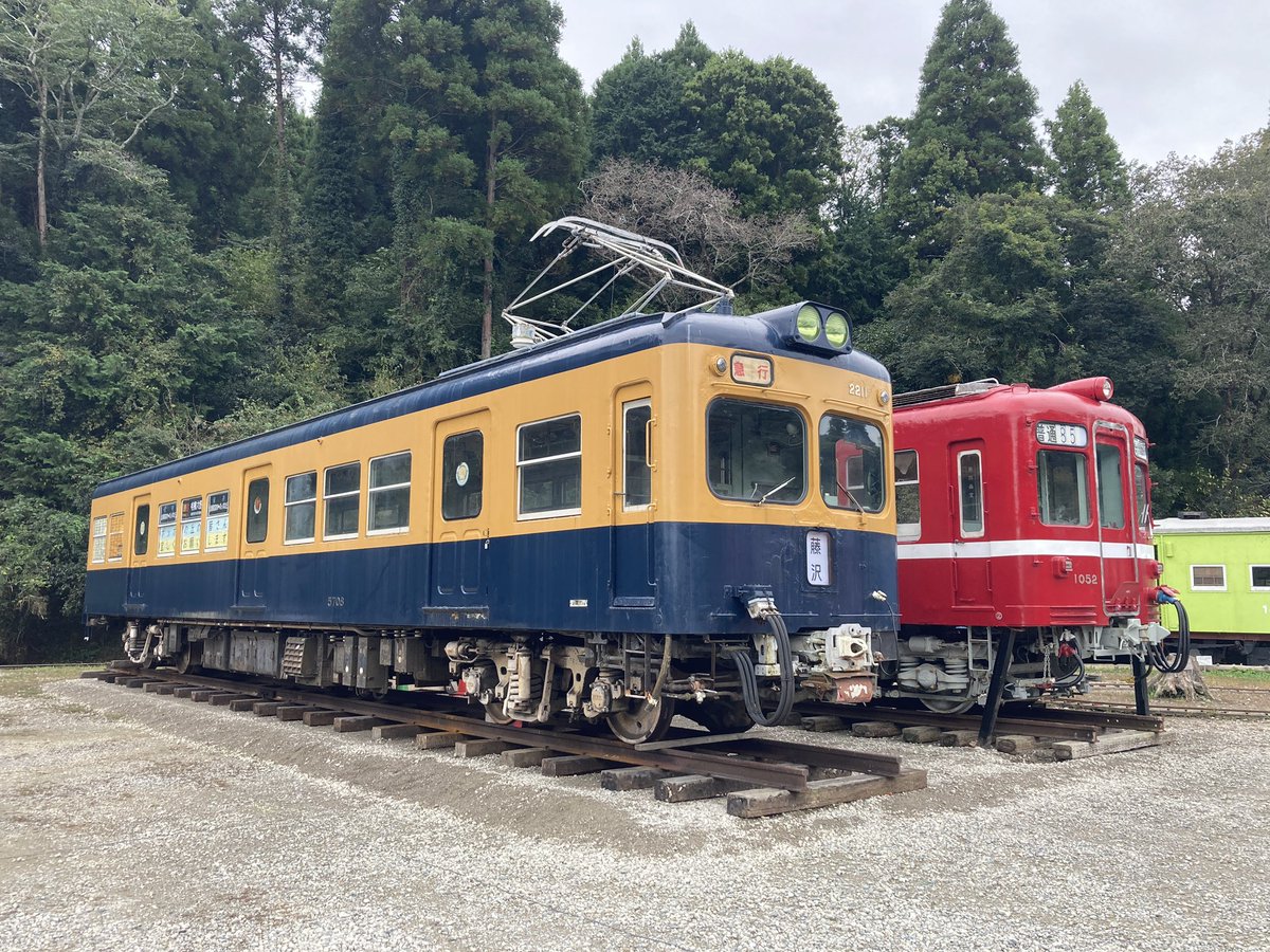 たまごやき tweet media