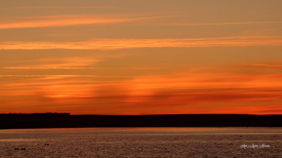 Ana María Herrero tweet media