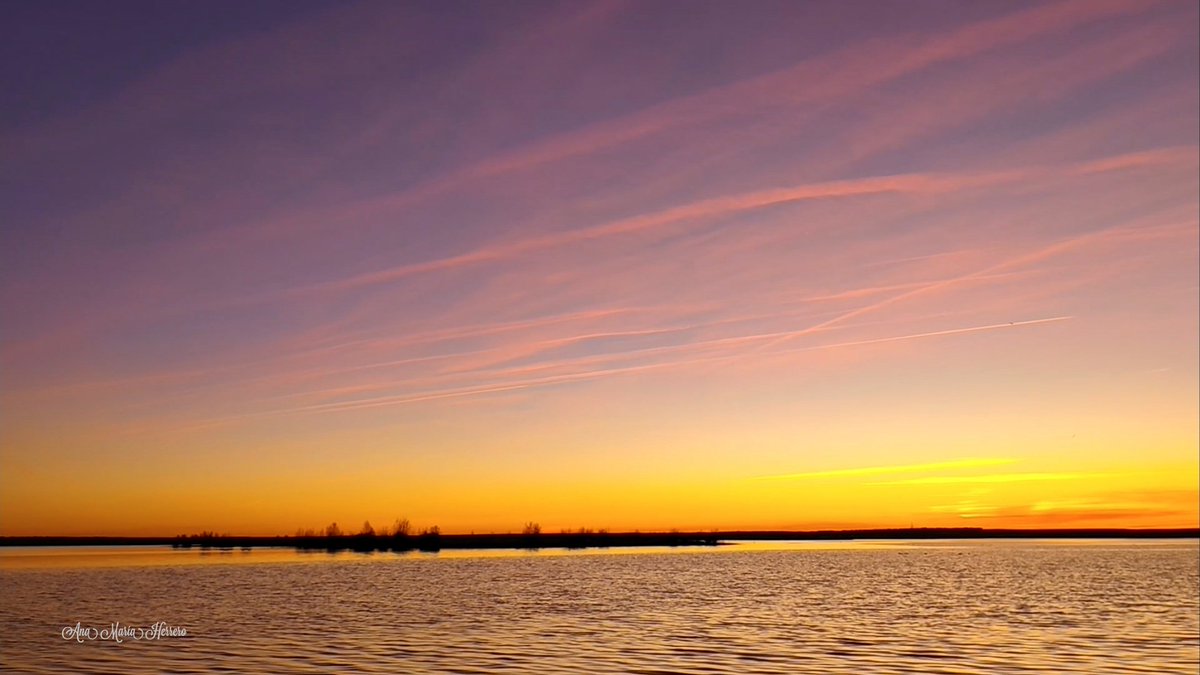 Ana María Herrero tweet media