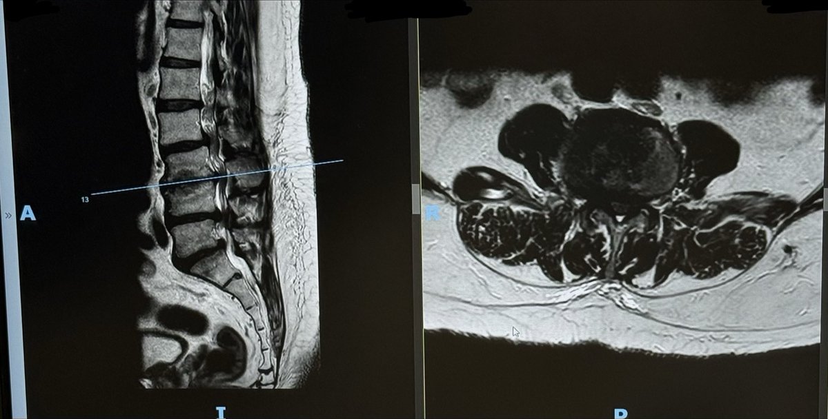 نوف التويجري tweet media