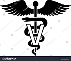 Sir P (DVM,Nig.) tweet media