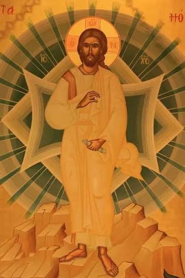 Spare Monarch tweet media