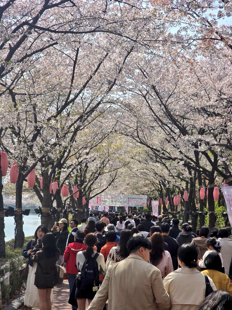 Shokiriy_janoblari tweet media