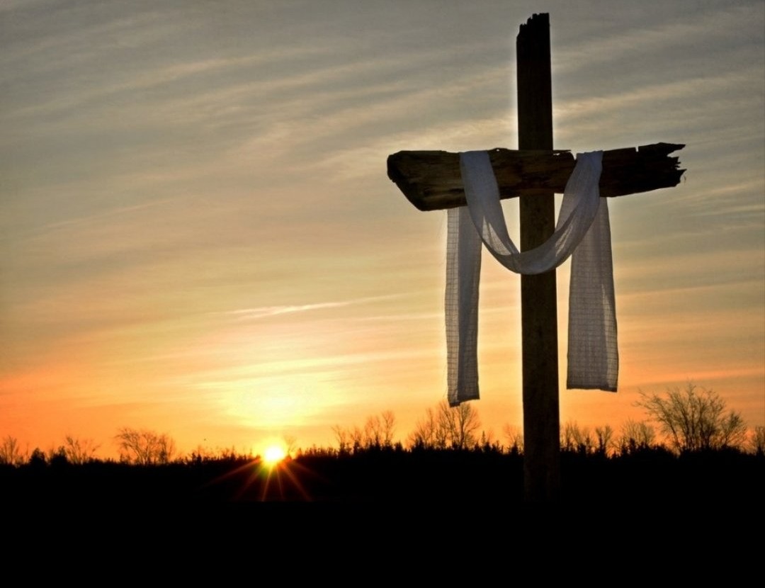 Marcela_Zbinden's tweet photo. ¡Feliz Pascua!
Lleven a todos la alegría de Jesús resucitado y presente entre nosotros.
(Papa León XIV)
💕 https://t.co/gBdnc54G6i