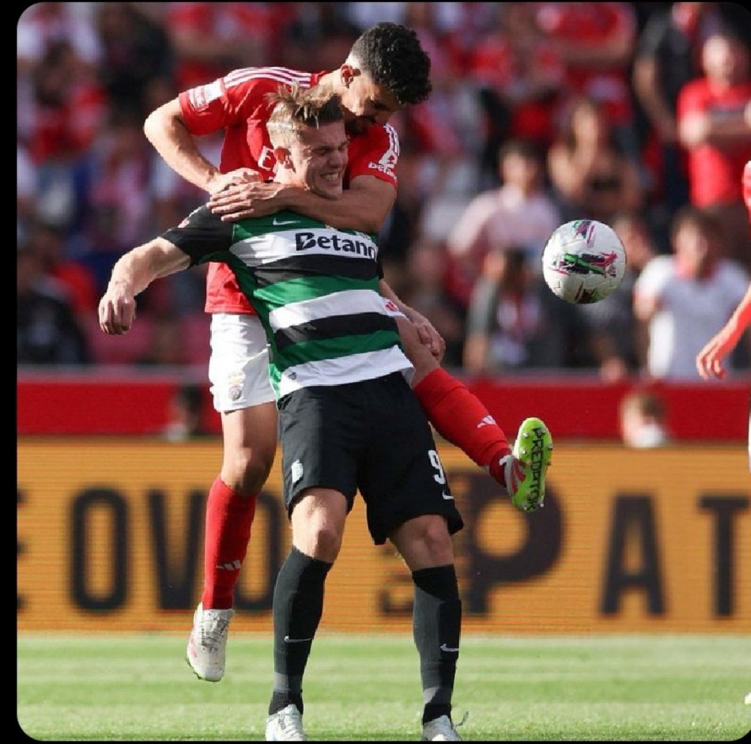 Miguel Reis tweet media