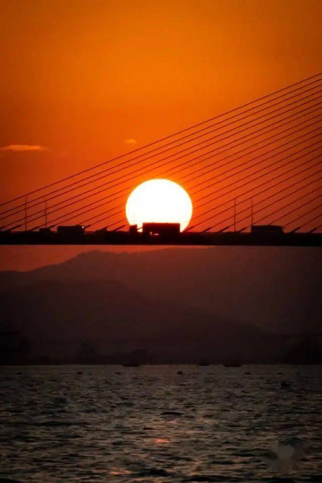 xavier mojica rivera tweet media