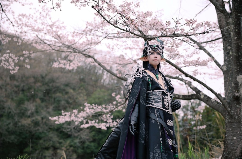 🦐えびは🍊🌱祭り中 tweet media