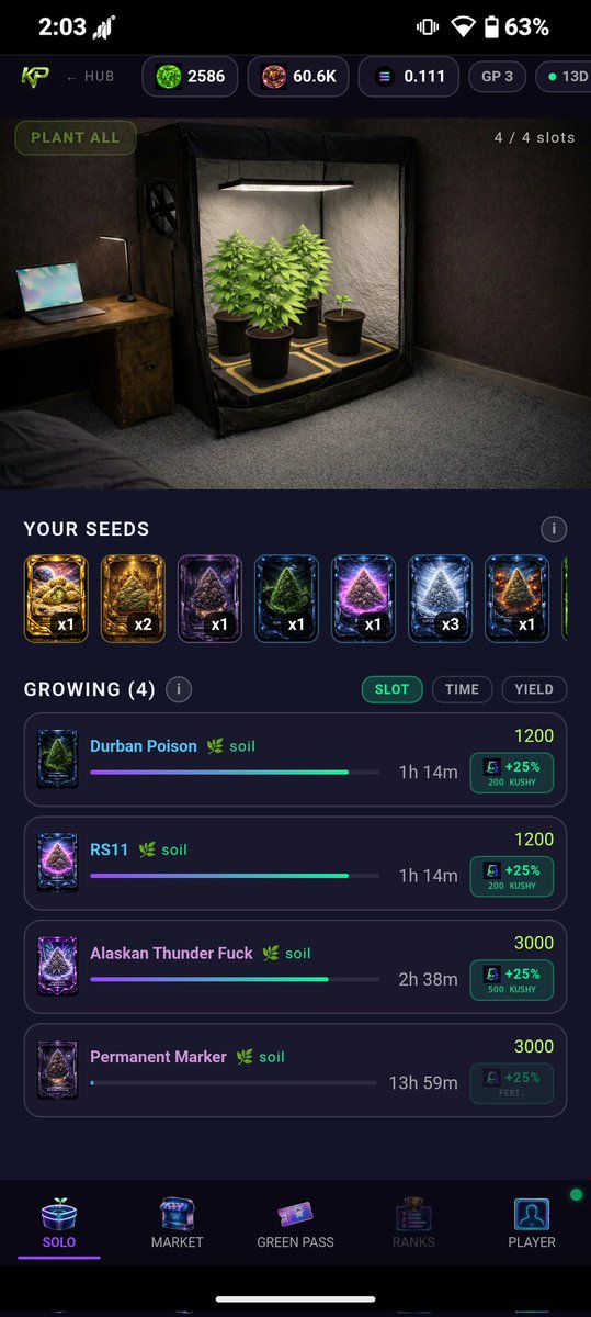Gm seeker fam , just pulled 2 Godfathers 🚀 .

Start grow on <a href="/KushyProd/">KushyProd</a> with my code: monoapple420.skr 

#weed #solana #meme