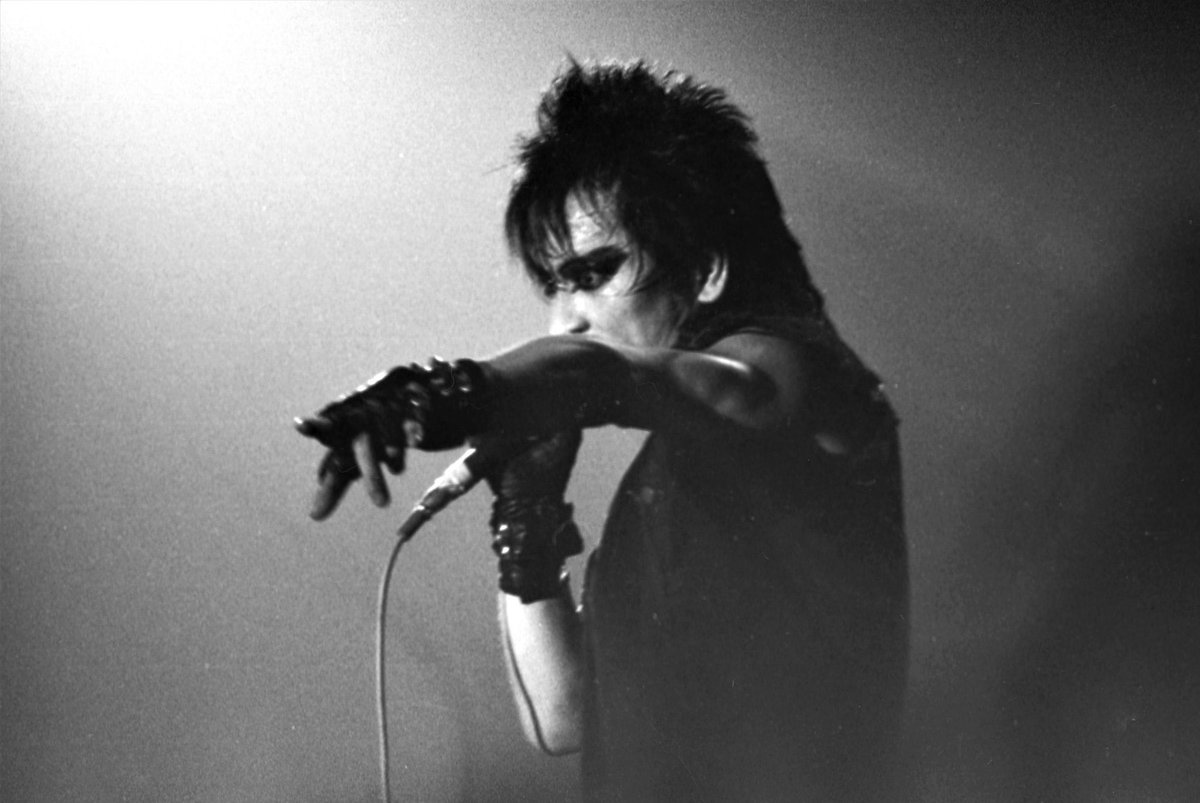 シーマ tweet media