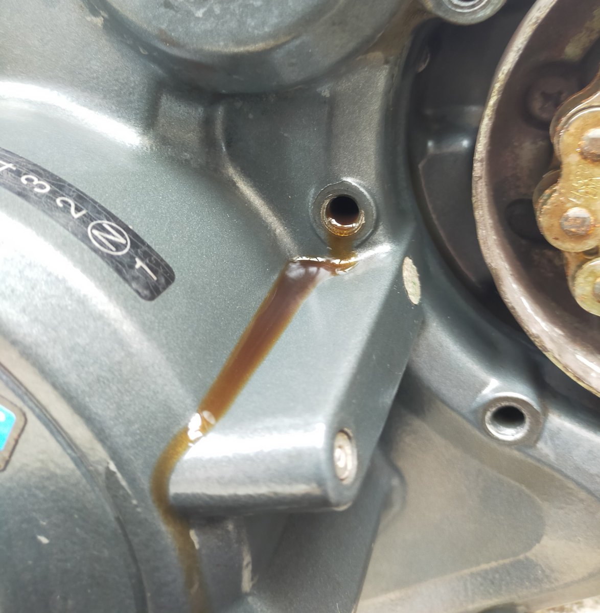 ファンタ爺 tweet media