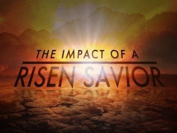 Vicki WarriortoTruth 📖🛡⚔️🇺🇸♥️ tweet media