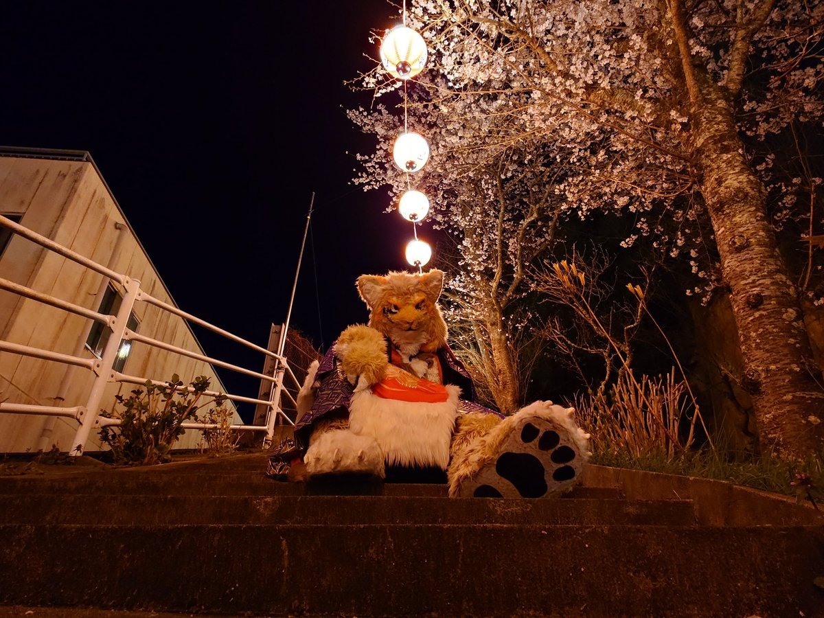 転職活動中の一七(かずな)→次:はつじゅー16→offf tweet media