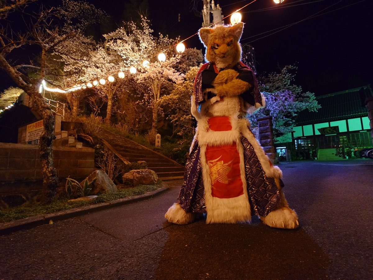 転職活動中の一七(かずな)→次:はつじゅー16→offf tweet media