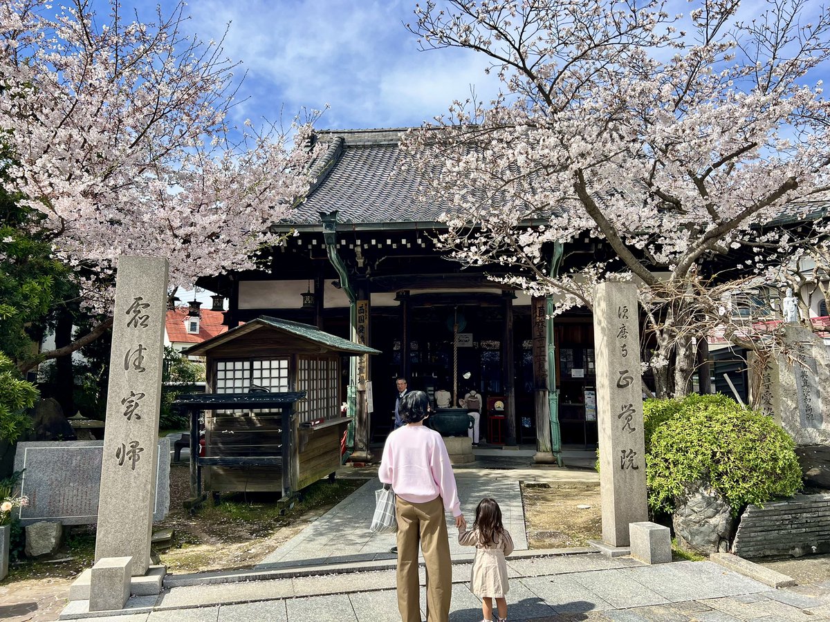 寺で花見ってのは乙なもんでした。
公園で花見するより好きかも